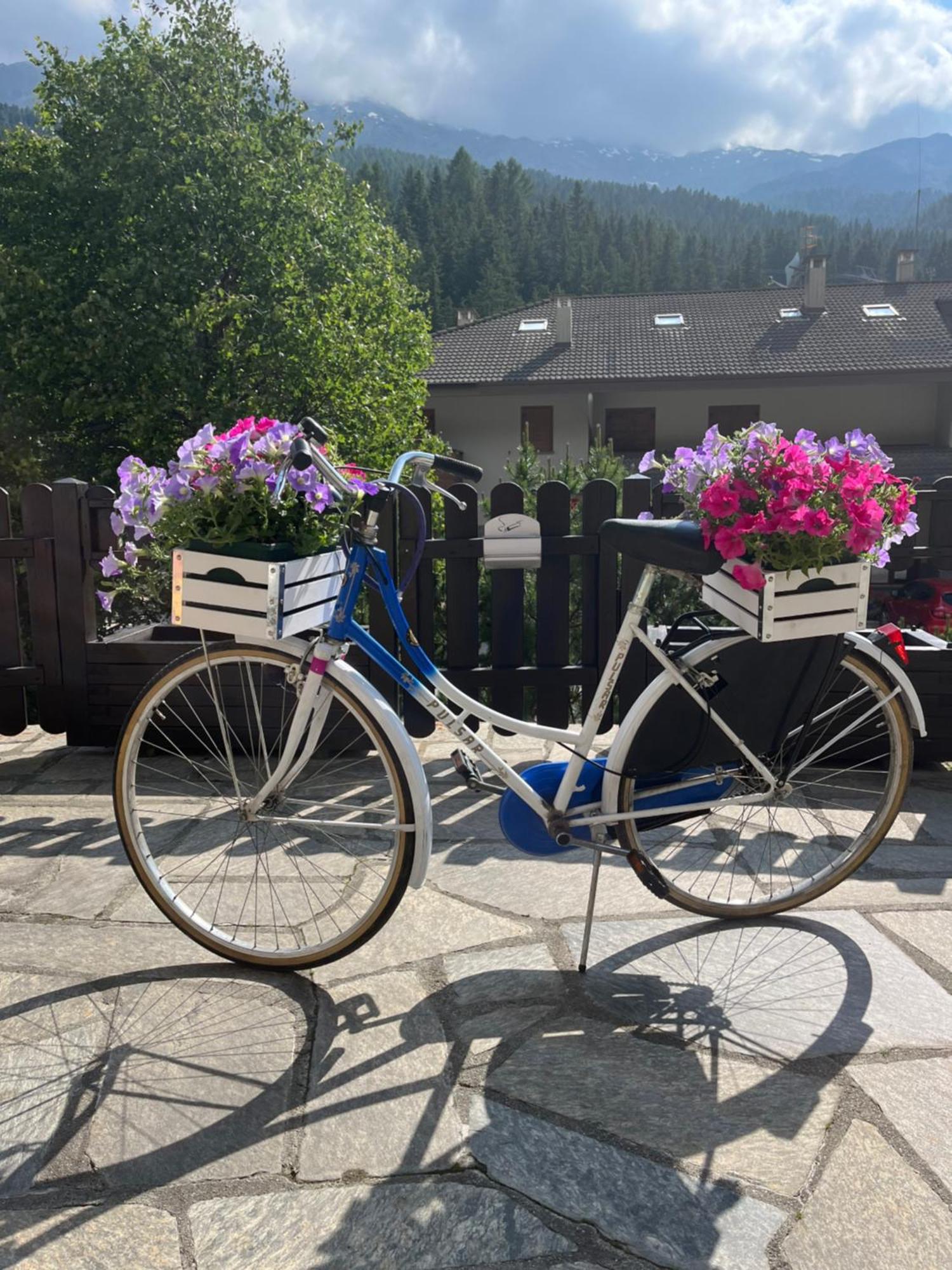 Hotel Alle Tre Baite Santa Caterina Valfurva Kültér fotó